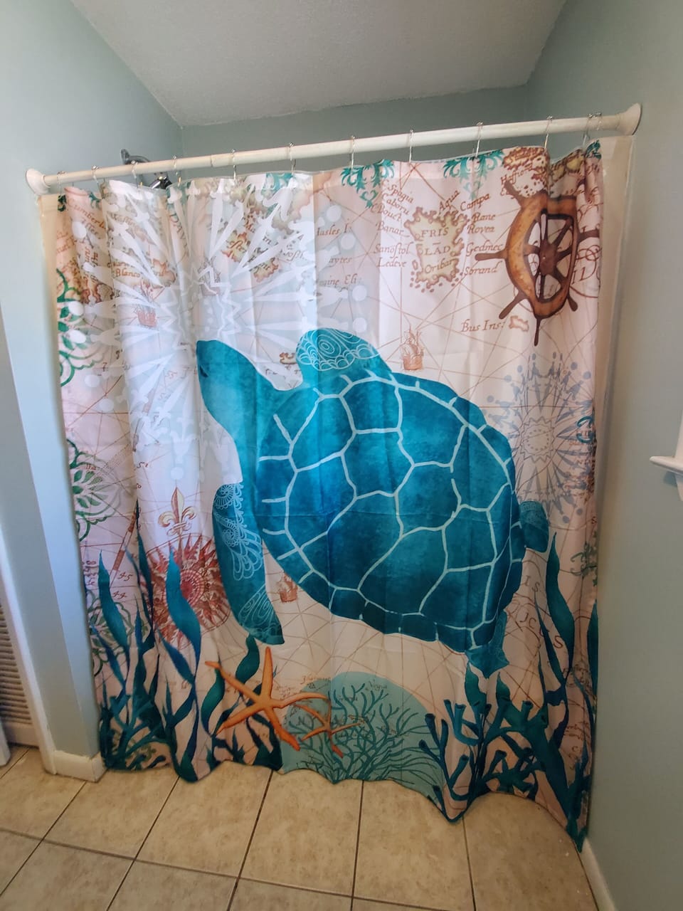 Main bathtub/Shower combo