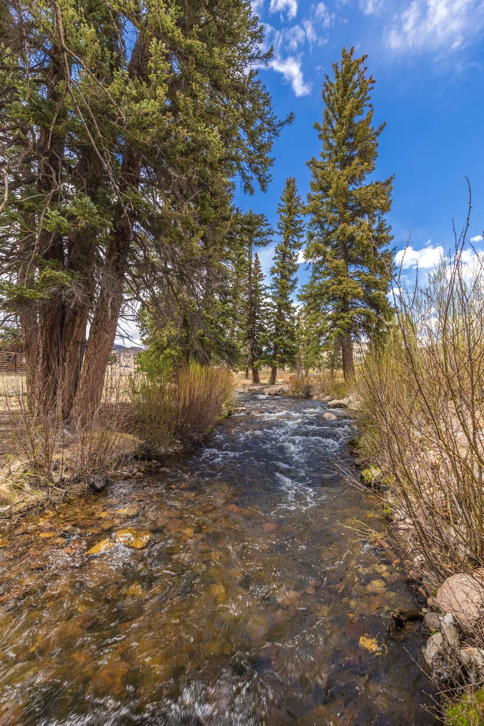 Miner's Creek Creede Vacation Rental Home