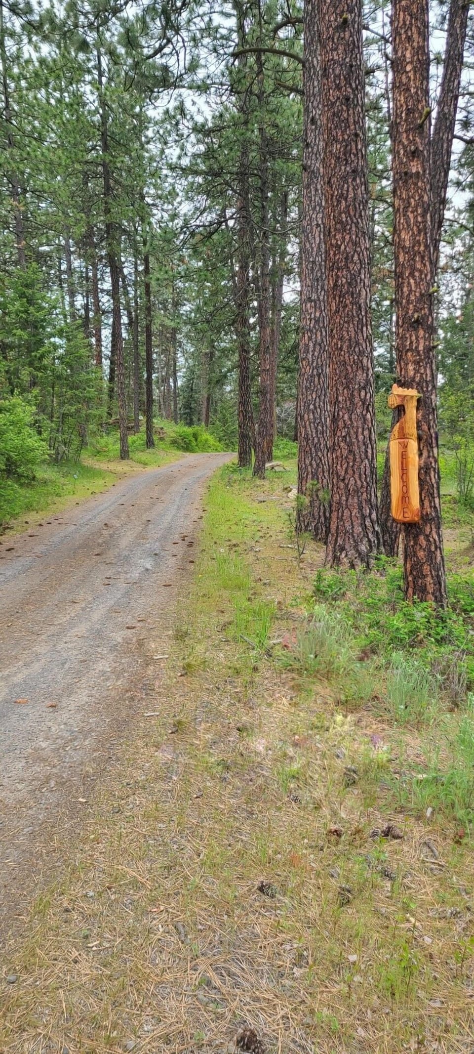 Private drive up to the Cabin