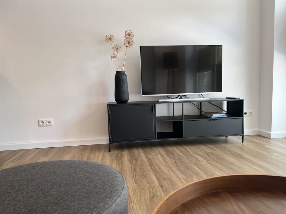 Television
