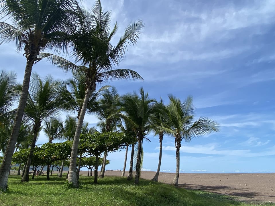 Beach
