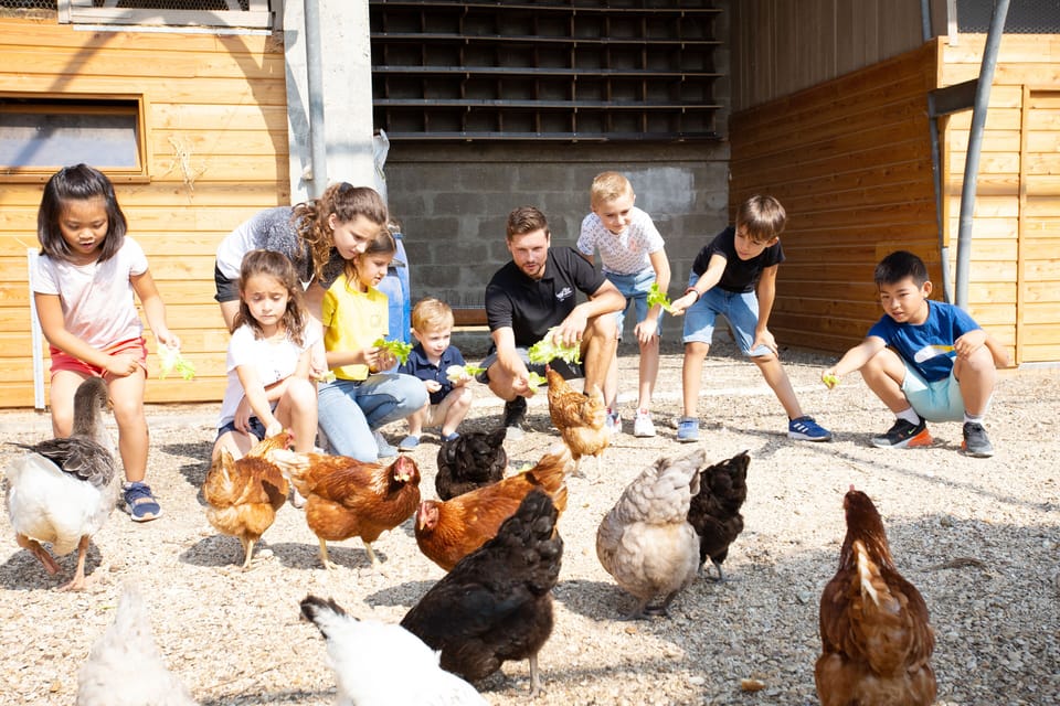 Children's activities
