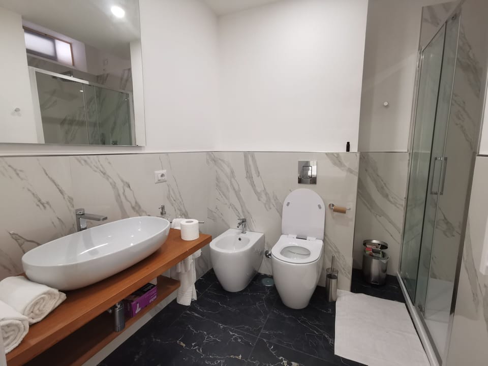 Shower, rainfall showerhead, hair dryer, bidet