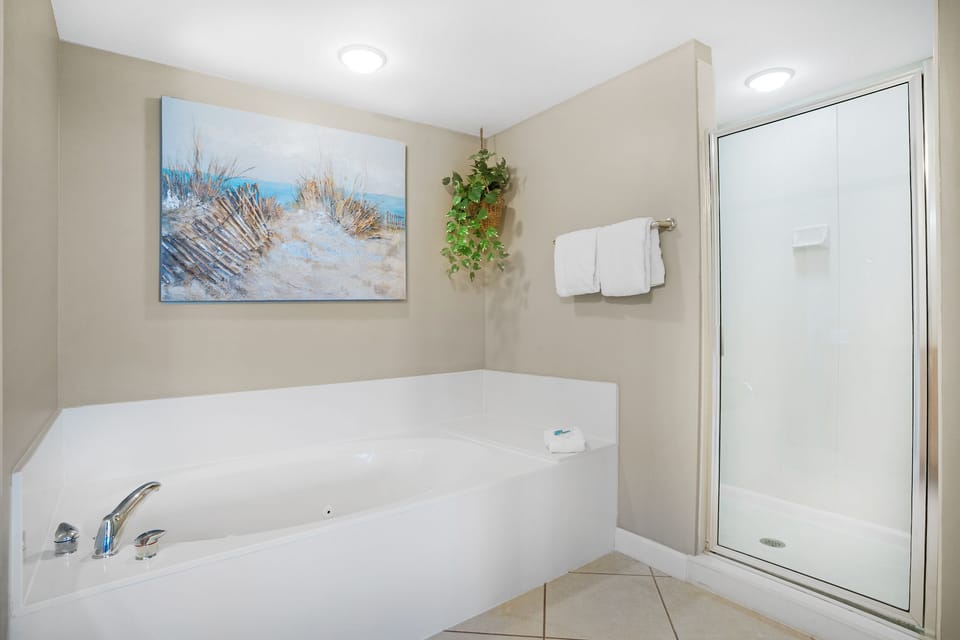 Master bath soaking tubv