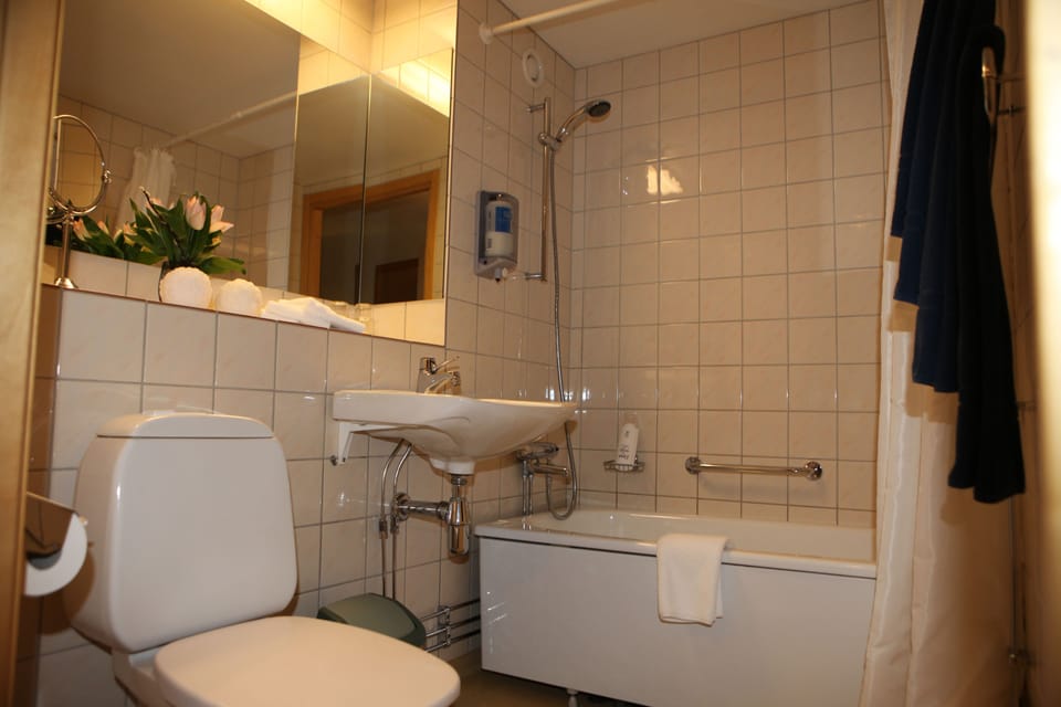 Hair dryer, towels