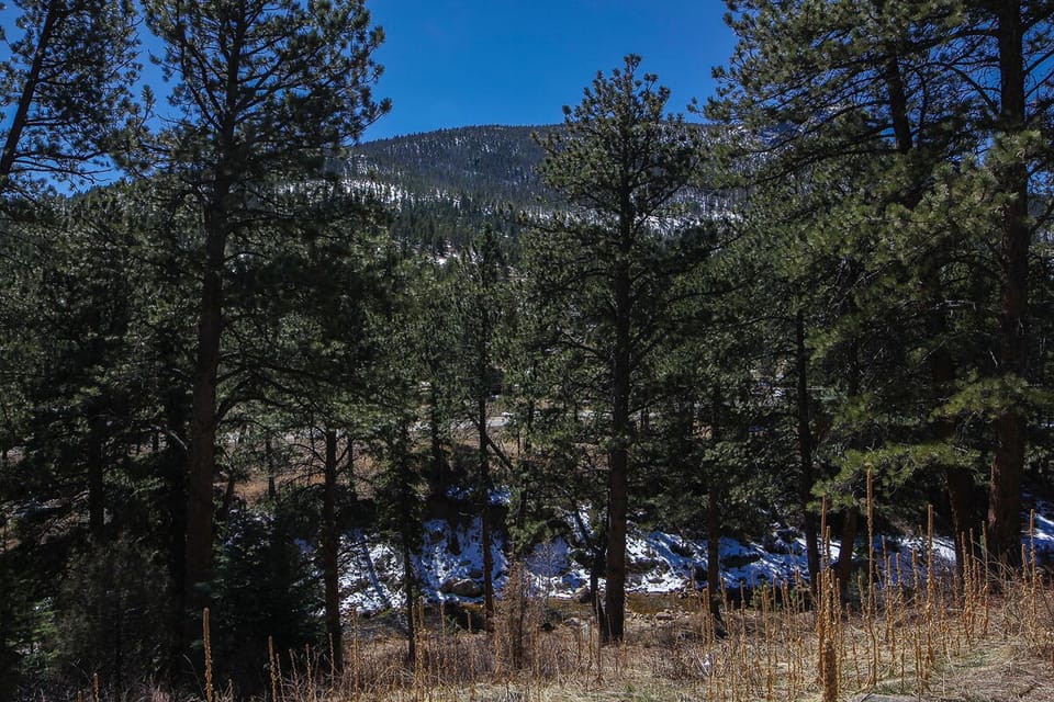 Mountain View from Patio