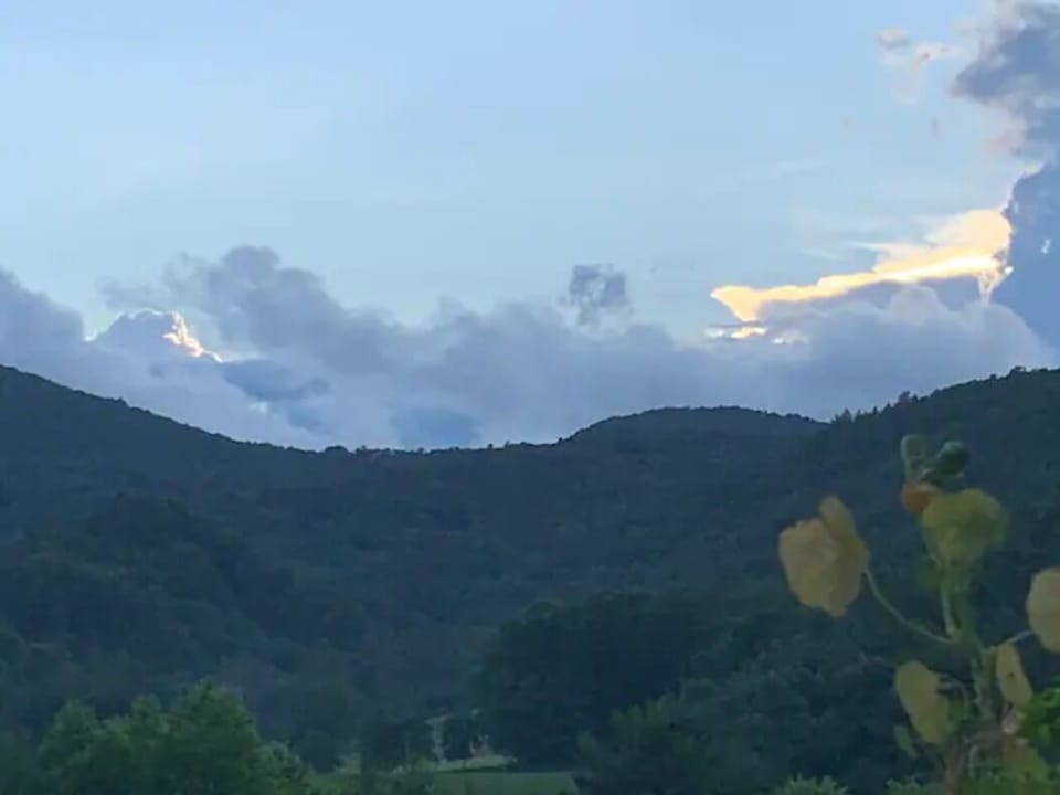 What a view from the back deck