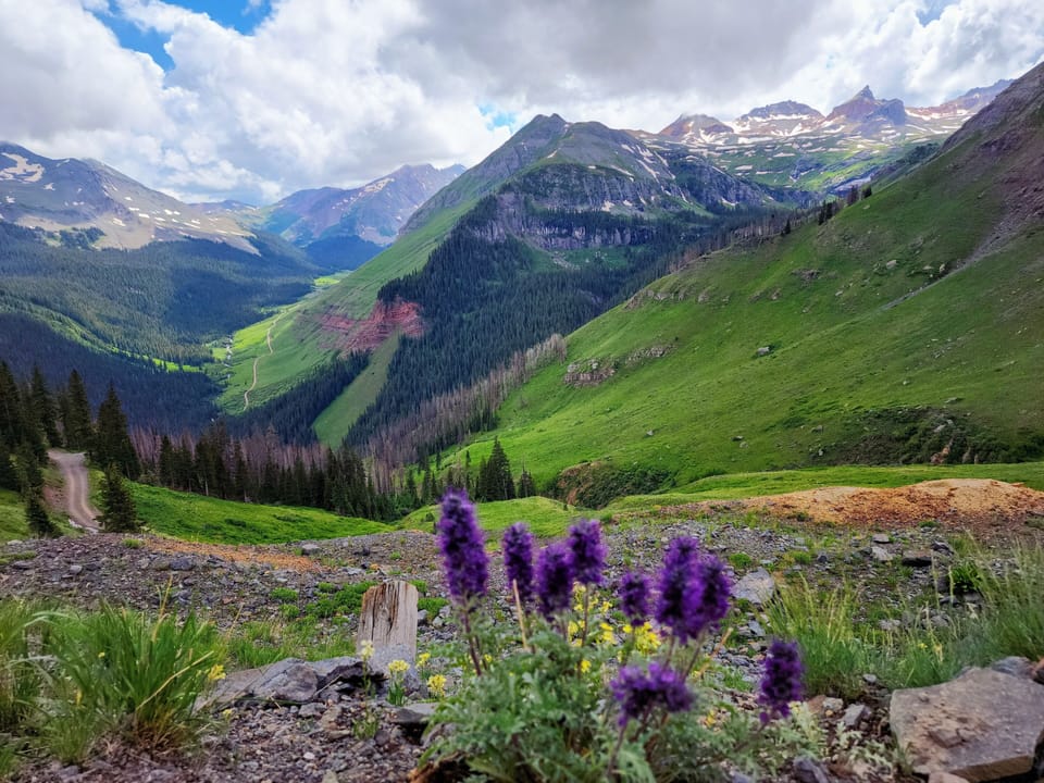 Summer is our favorite time. The colors, fresh air, and beauty are breathtaking.