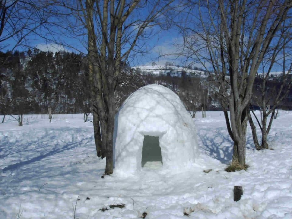 City Cottage, Ensuite, Mountain View | Garden