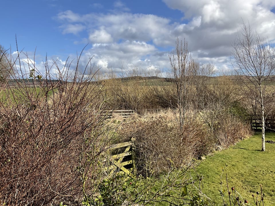 Cottage, Accessible, Ensuite (Hetton Byre) | View from property