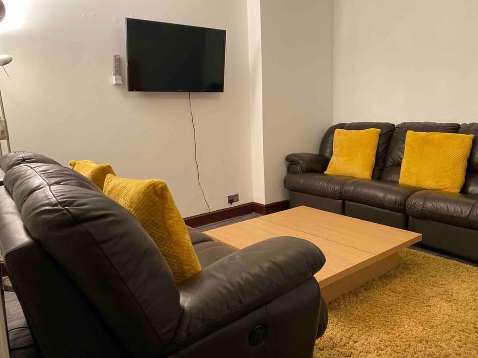 Apartment | Living room | 30-inch TV with cable channels