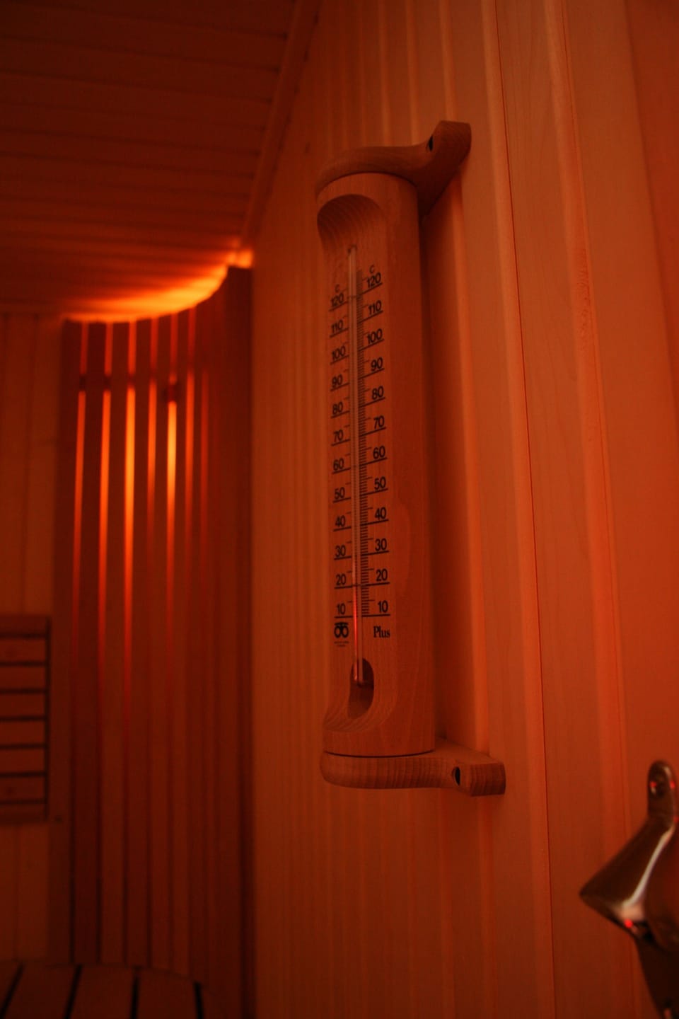 Apartment 2 Bedroom with Sauna  | Room amenity