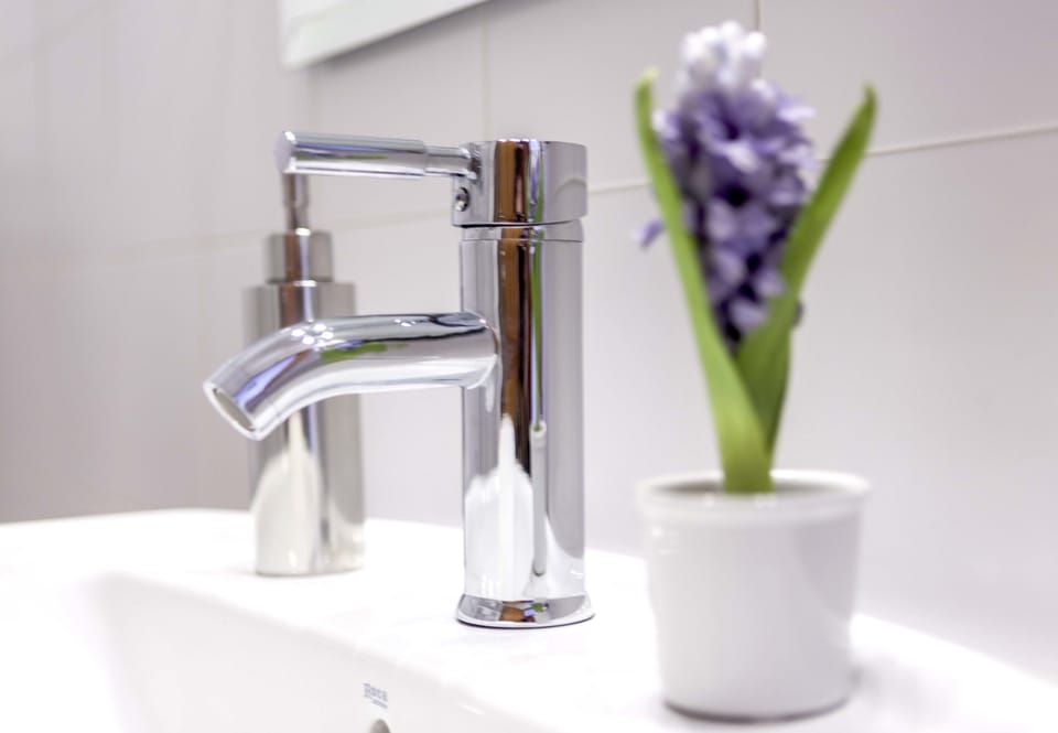Free toiletries, hair dryer, bidet, towels
