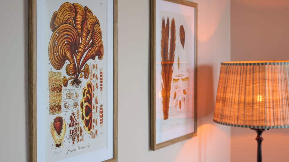 Junior Suite | Egyptian cotton sheets, premium bedding, in-room safe, desk