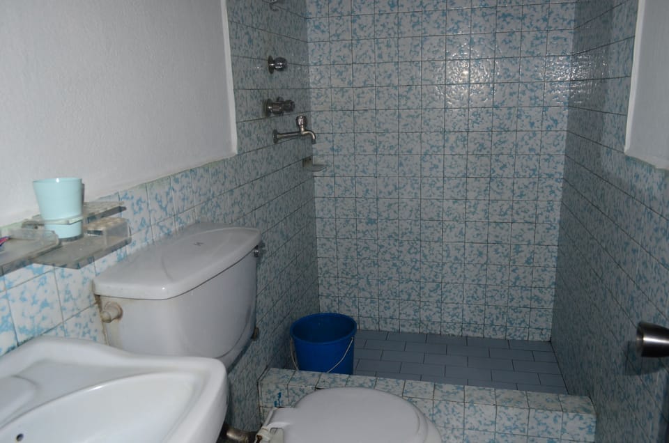 Standard Double Room | Bathroom | Shower, hair dryer, towels