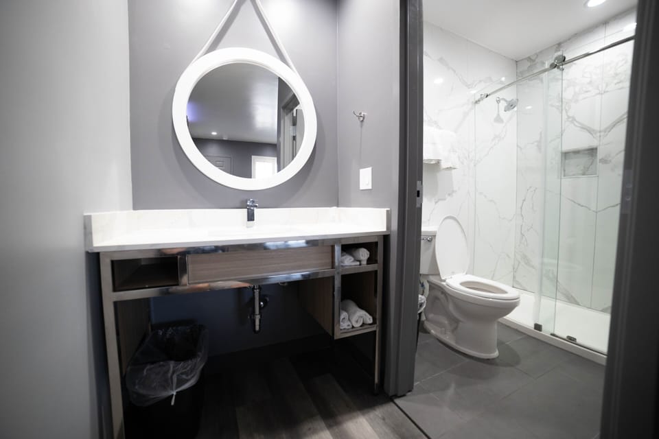 Standard Room | Bathroom | Shower, hair dryer, towels