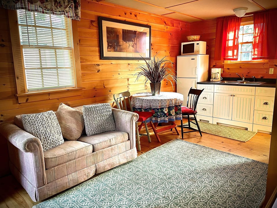 Pull out twin bed  in love seat 