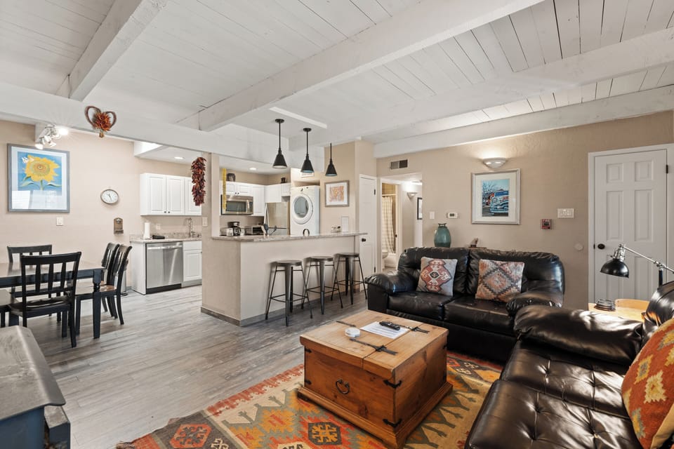 Living Area / Kitchen