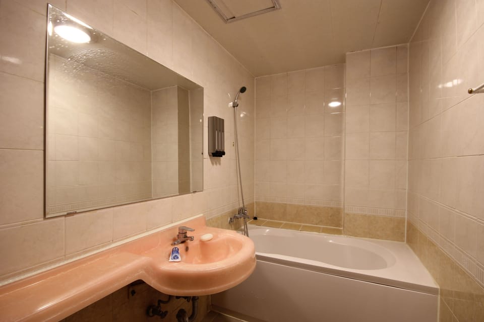 Hair dryer, slippers, towels