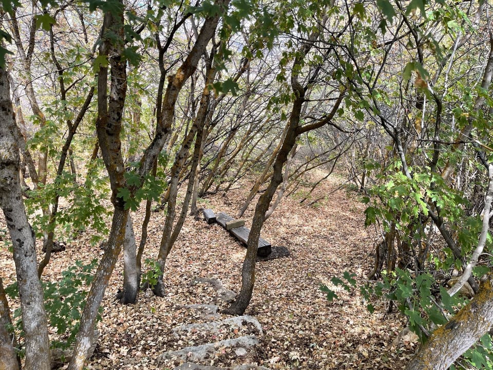 a5e48daf-eef5-4908-b824-73c7cbb259c7