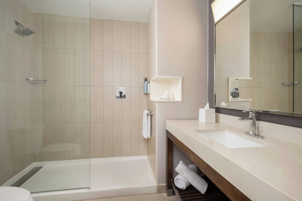 Room, 1 King Bed with Sofa bed | Bathroom | Designer toiletries, hair dryer, towels