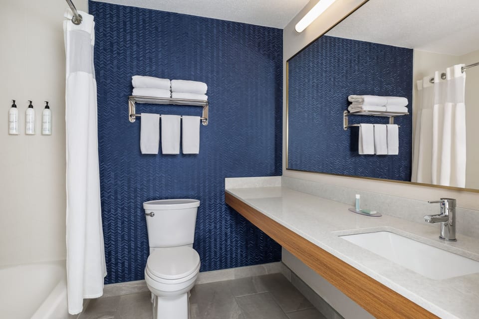 Combined shower/tub, free toiletries, hair dryer, towels