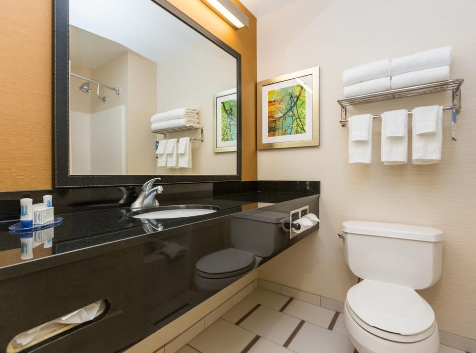 Combined shower/tub, free toiletries, hair dryer, towels