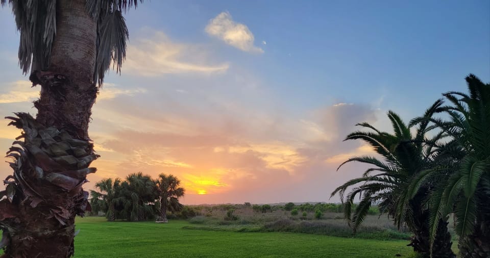 Sunset view from the backyard
