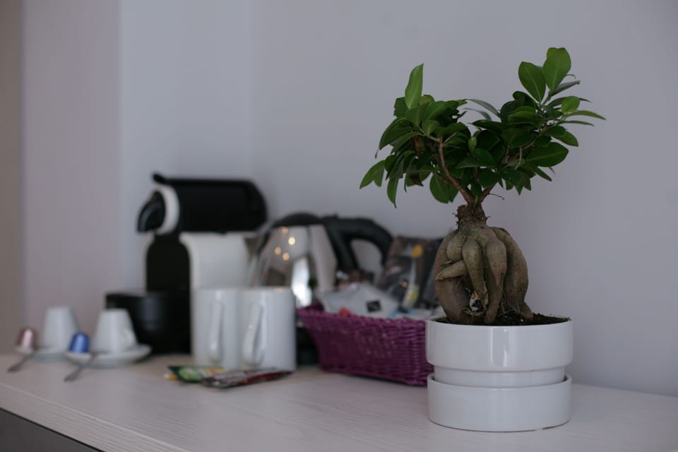 Double Room Single Use | Minibar, in-room safe, desk, laptop workspace