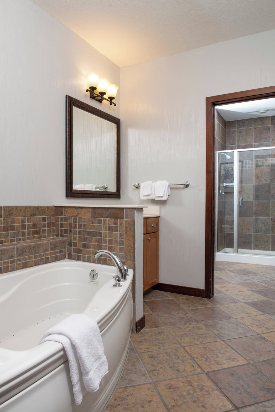 Combined shower/tub, hair dryer, towels