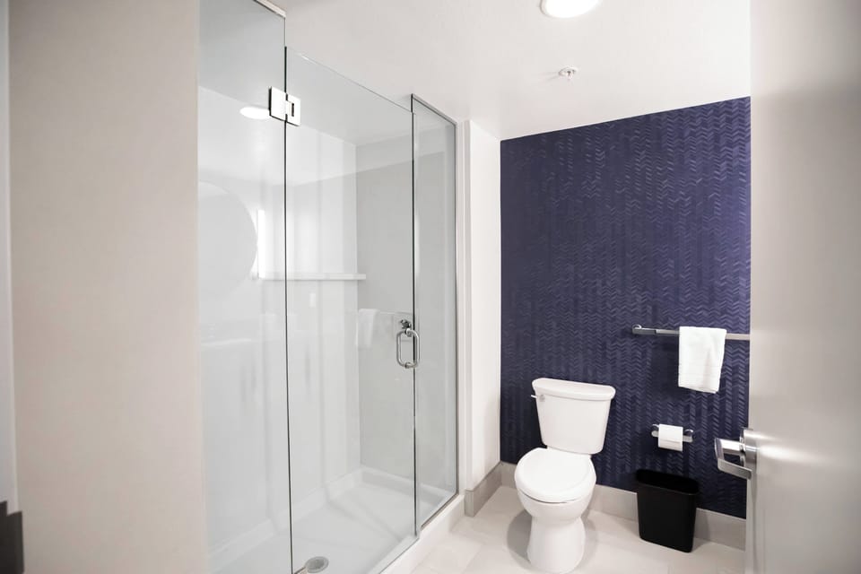 Combined shower/tub, free toiletries, hair dryer, towels