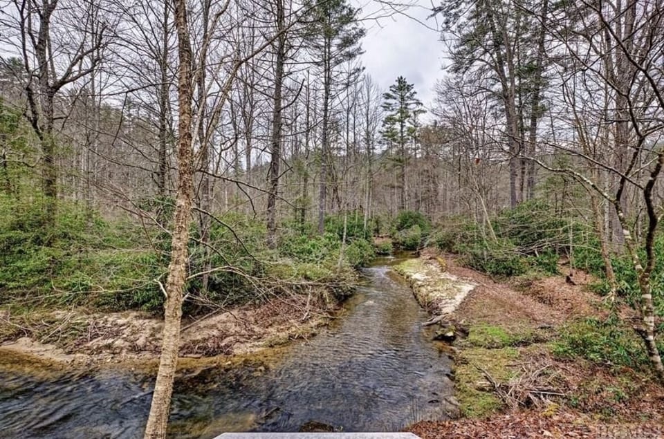 Fowler Creek - view from the property. 