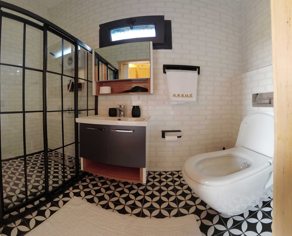 Shower, hair dryer, slippers, bidet