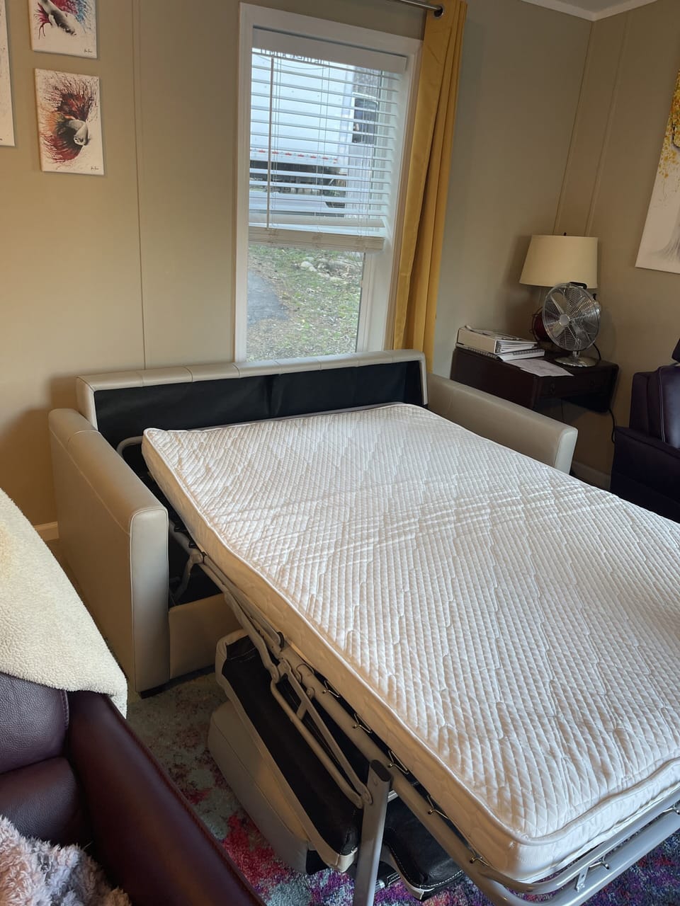 View of the opened sofa bead in the living room. 
