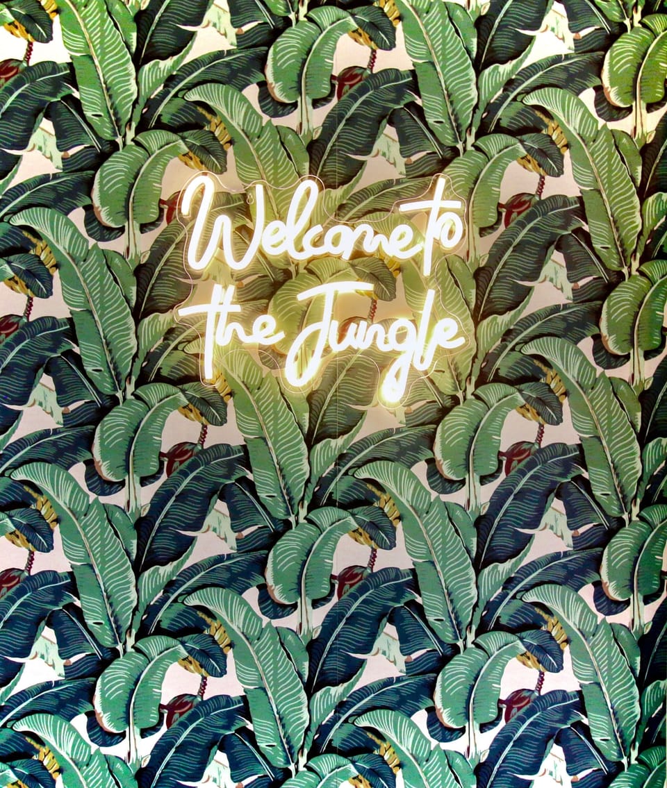Welcome to the Jungle!