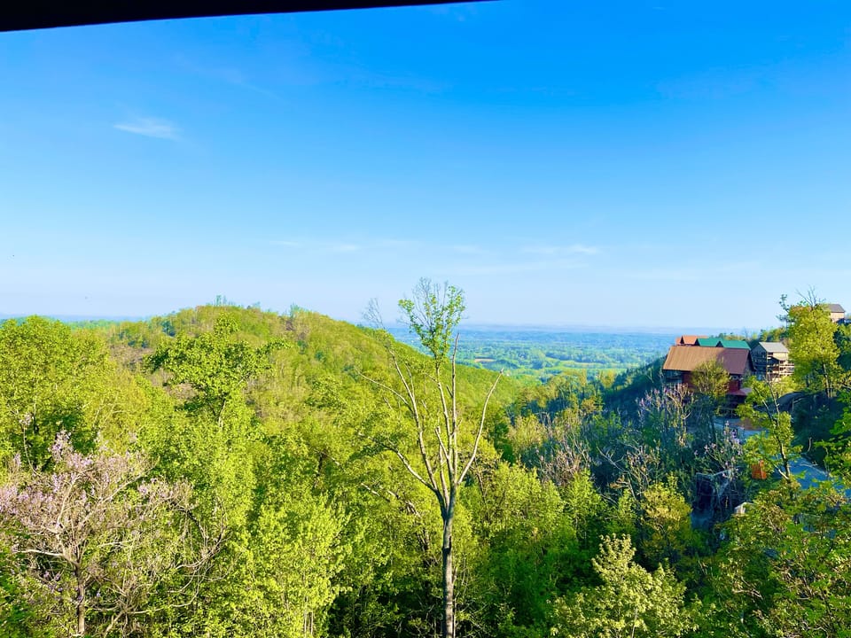 View from Deck.