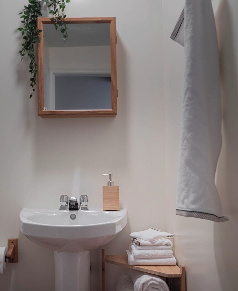Hair dryer, towels, soap, shampoo