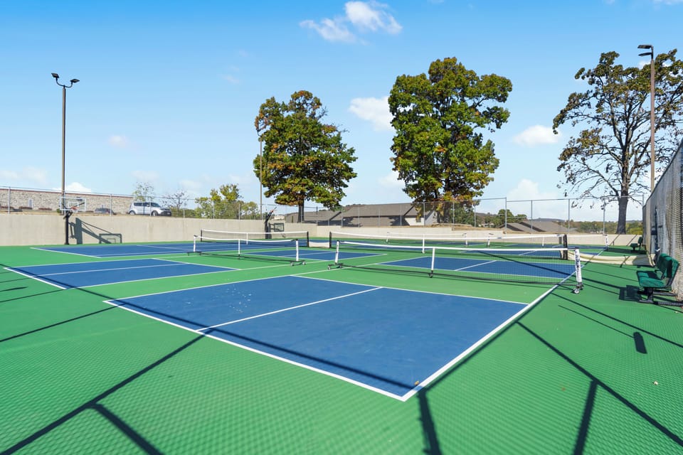 Pickle ball put In 2024!