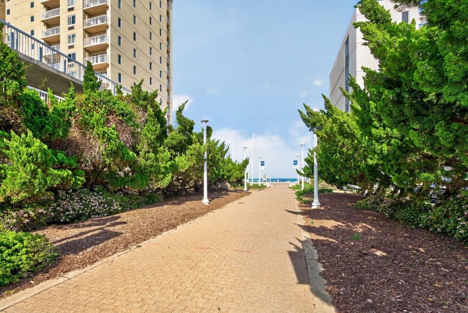 Path