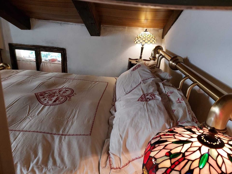 Alla finestra si affacciano spesso gli uccellini che nidificano nel parco