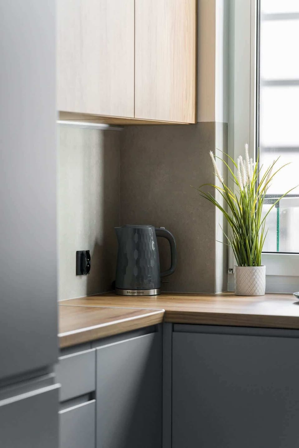 A small part of the kitchen counter with greenery, showing a plant in a pot near a window.