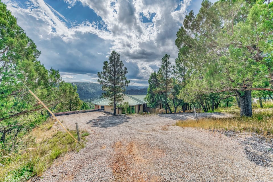 DRIVEWAY VIEW