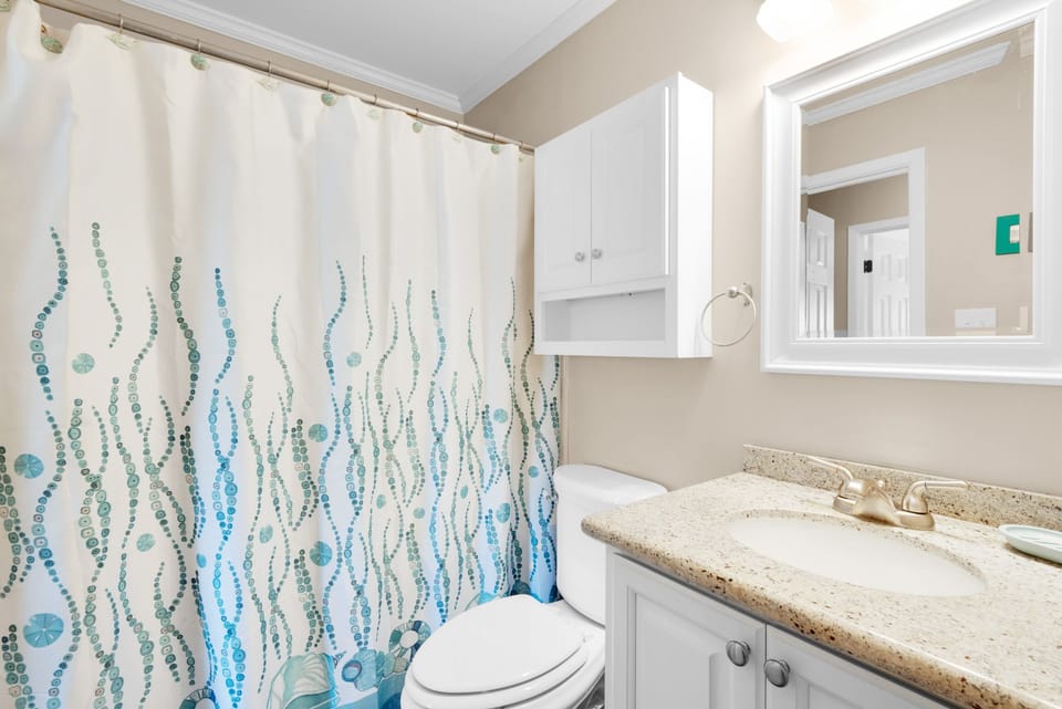 Guest bathroom