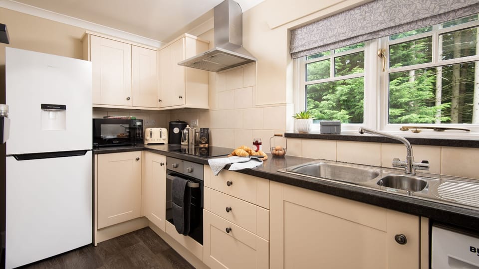 East Lodge at Ashiestiel - the galley style kitchen with views over to the forest