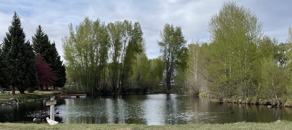 Lake