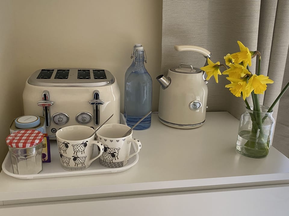 Studio | Private kitchen | Fridge, microwave, stovetop, electric kettle