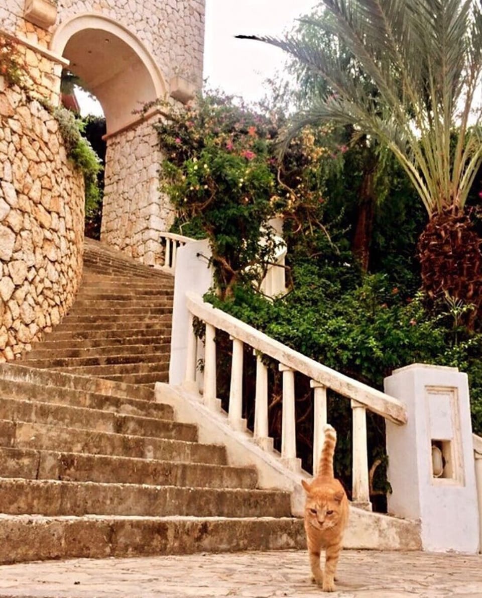One of the ways down to the beach