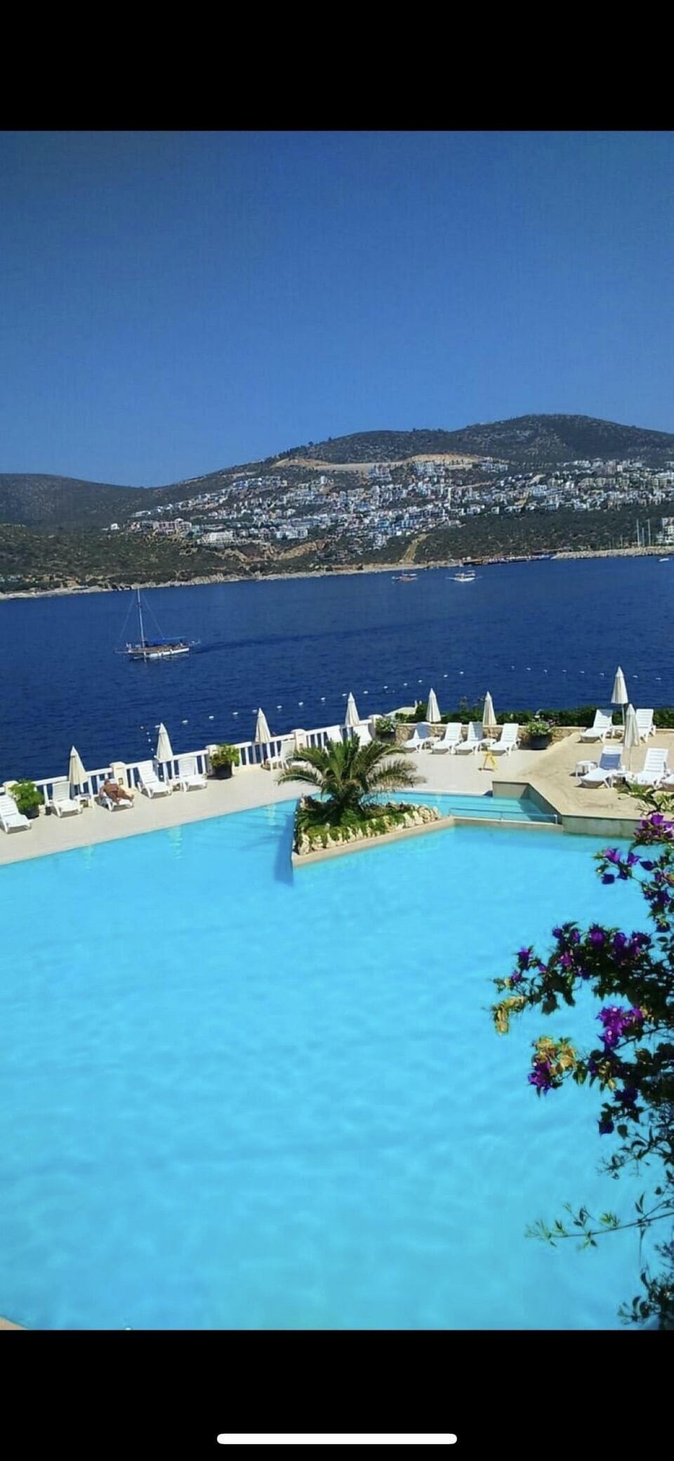 Communal pool