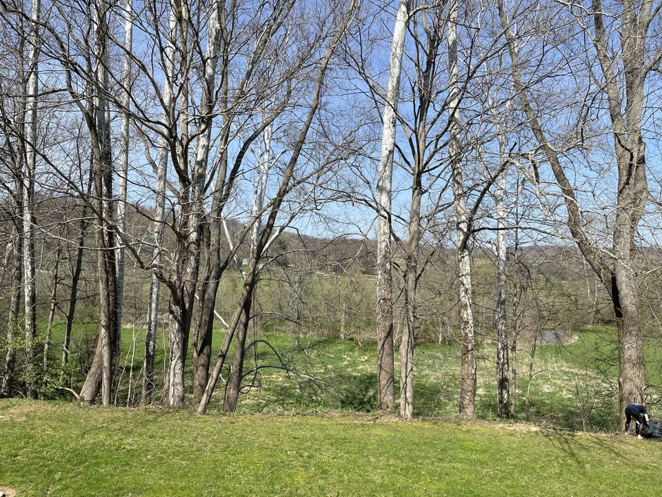 View from Back Deck
