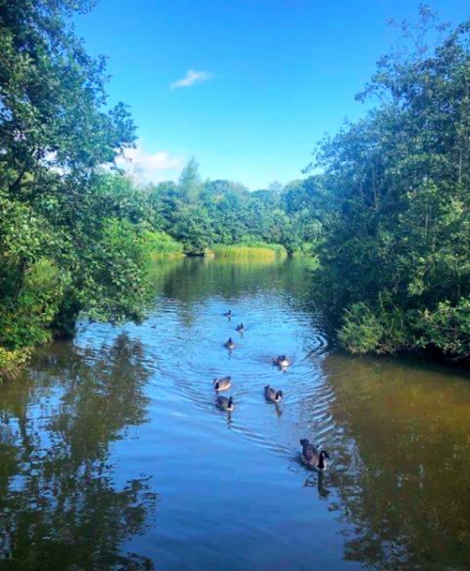 Lake